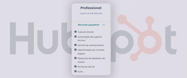 HubSpot Service Hub Professional